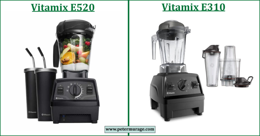 Vitamix E520 vs E310 Comparison